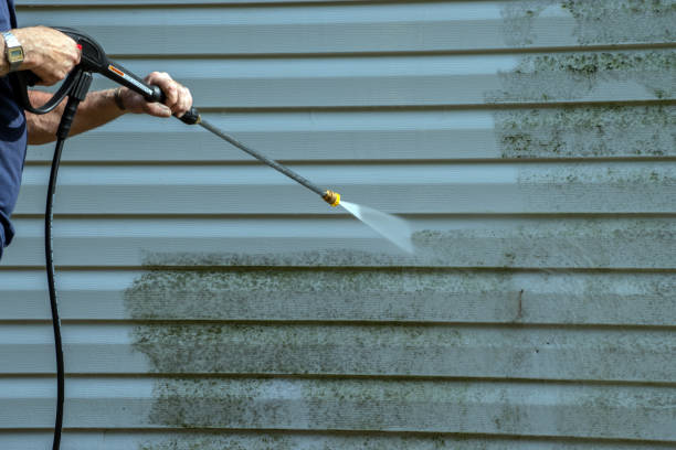 Best Pool Deck Cleaning  in Elfers, FL